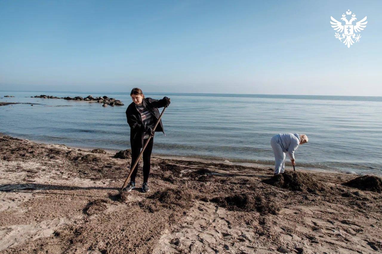 Прибрежную зону Геническа расчистили при поддержке Рязанской области Прибрежную зону Геническа расчистили при поддержке Рязанской области