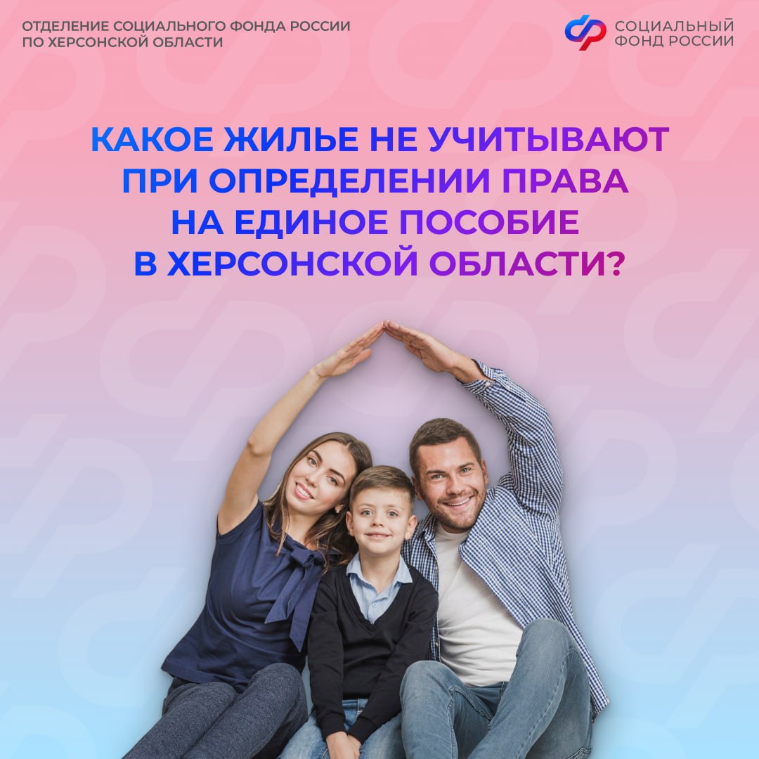 Какое жилье не учитывается при назначении единого пособия в Херсонской области?