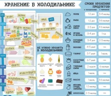 Правильное питание и свежие полезные продукты — залог здоровья и долголетия