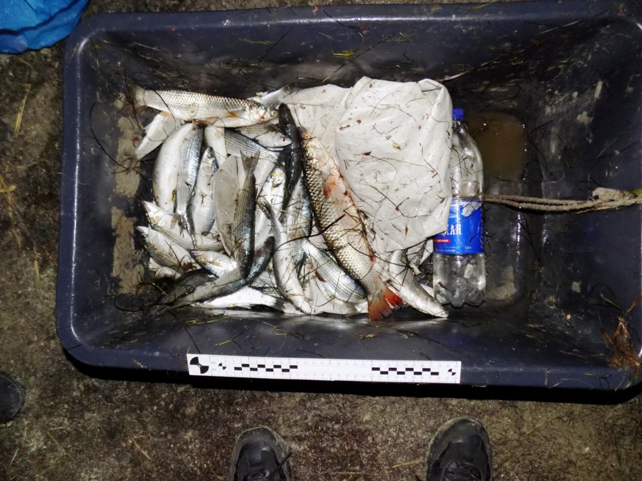 Сотрудники Херсонского линейного отдела МВД России на транспорте задержали подозреваемого в браконьерстве на берегу залива Сиваш Сотрудники Херсонского линейного отдела МВД России на транспорте задержали подозреваемого в браконьерстве на берегу залива Сиваш