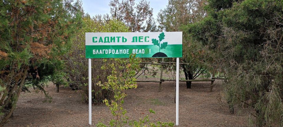 Обновили аншлаги в Первомаевском лесничестве Обновили аншлаги в Первомаевском лесничестве