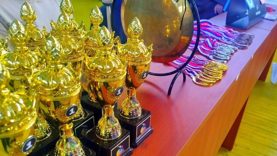 В Новотроицком прошел турнир, приуроченный ко Дню самбо