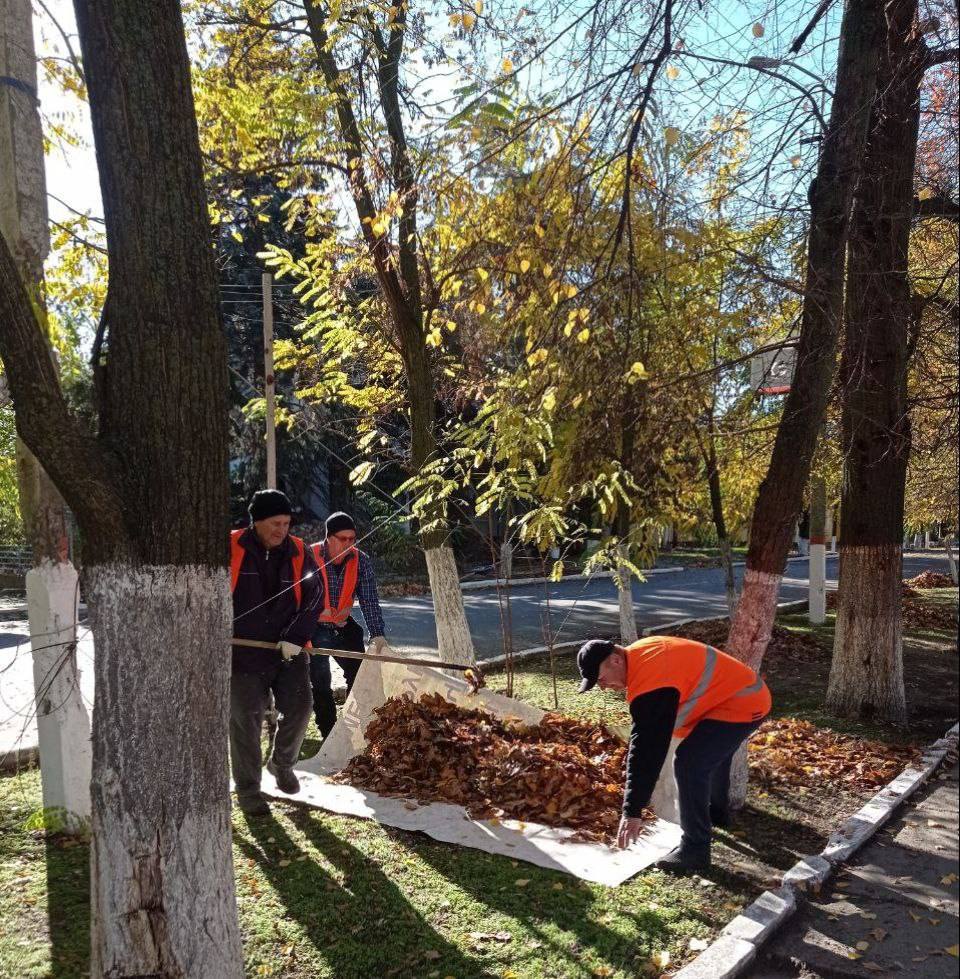 В Голой Пристани постоянно кипит работа по наведению красоты: коммунальные службы стараются, чтобы на улицах было чисто и приятно В Голой Пристани постоянно кипит работа по наведению красоты: коммунальные службы стараются, чтобы на улицах было чисто и приятно