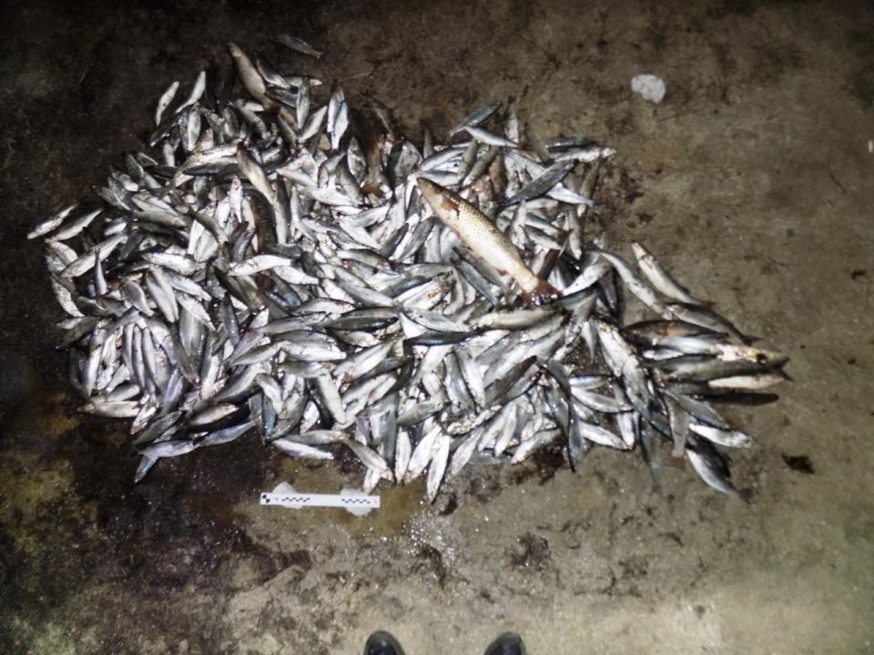 ���������� ����������� ��������� ������ ��� ������ �� ���������� ��������� �������������� � ������������� �� ������ ������ �����