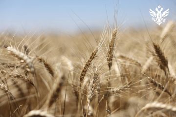 Аграрии Херсонской области собрали 1,2 млн тонн зерна