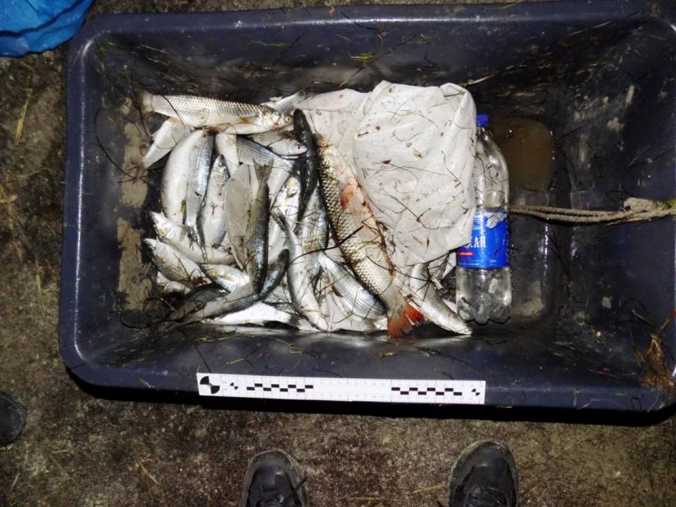 Вместо Кости-моряка с шаландами, полными кефали, на сцене появляется предприимчивый житель Геническа, решивший подзаработать на рыбке! Вместо Кости-моряка с шаландами, полными кефали, на сцене появляется предприимчивый житель Геническа, решивший подзаработать на рыбке!