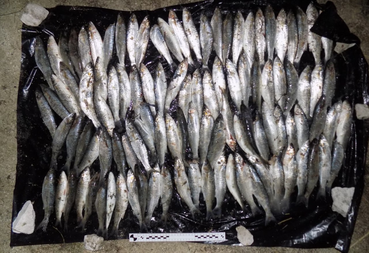 Сотрудники Херсонского линейного отдела МВД России на транспорте задержали подозреваемого в браконьерстве на берегу залива Сиваш