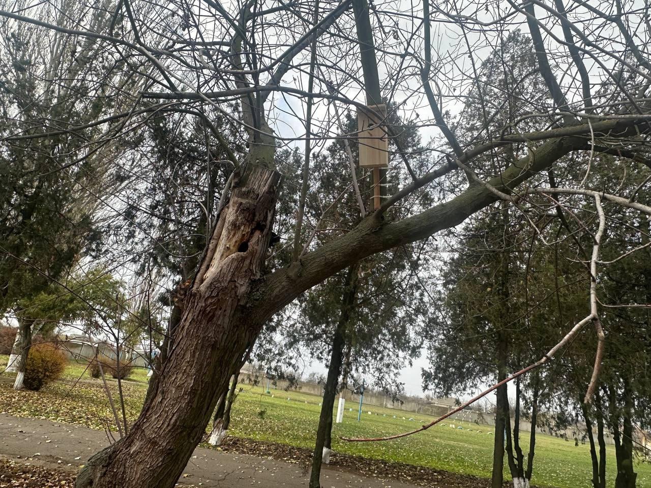 Юные экологи Херсонщины подарили птицам уютные скворечники Юные экологи Херсонщины подарили птицам уютные скворечники