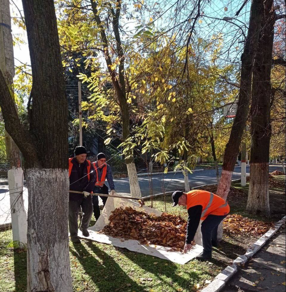 В Голой Пристани коммунальные службы активно наводят красоту: убирают улицы, чистят парки от листвы и сухостоя, несмотря на напряженную обстановку и постоянные прилеты В Голой Пристани коммунальные службы активно наводят красоту: убирают улицы, чистят парки от листвы и сухостоя, несмотря на напряженную обстановку и постоянные прилеты