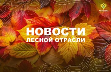 ТАСС: Рослесхоз направит 5,6 млрд рублей для увеличения числа зон тушения пожаров