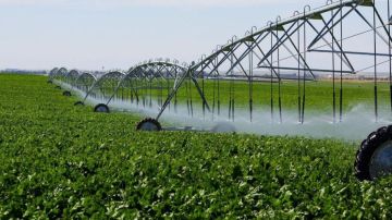 Первый проект по программе мелиорации реализуют в Херсонской области