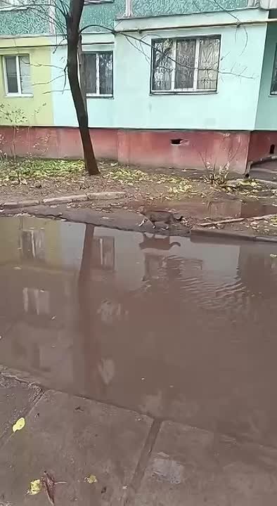 Краткая информация из Херсона