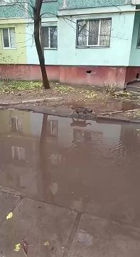 Краткая информация из Херсона