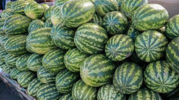 Овощи и бахчевые из Херсонской области поставляют в другие регионы России