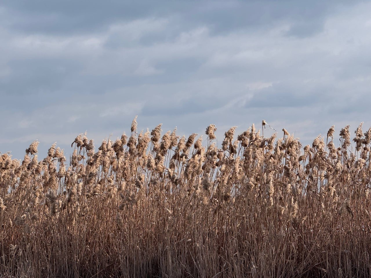Погода на 20 ноября:. Херсонская область: