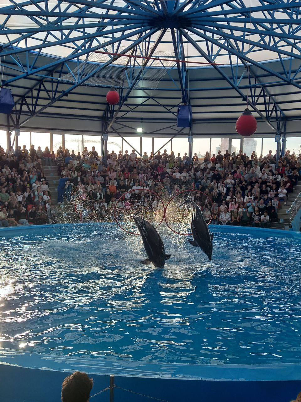 Мастер-классы, экскурсии по горам: семья погибшего бойца восстанавливается на отдыхе-реабилитации в Сочи Мастер-классы, экскурсии по горам: семья погибшего бойца восстанавливается на отдыхе-реабилитации в Сочи