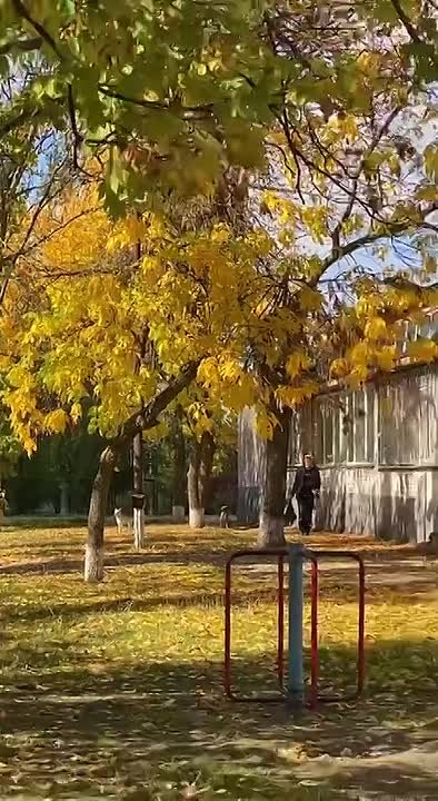 Херсон, оперативная информация, 23 ноября 2025