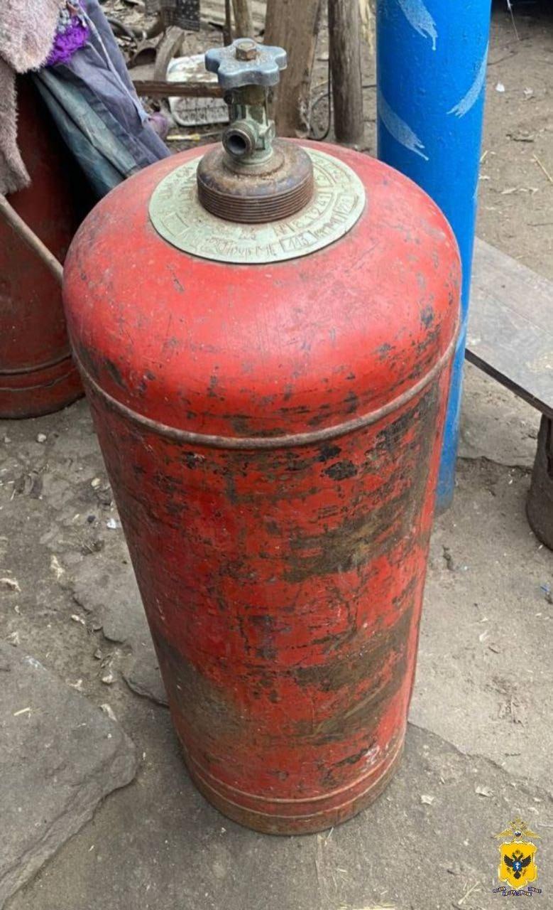 В Алешкинском округе полицейские задержали братьев, подозреваемых в краже имущества В Алешкинском округе полицейские задержали братьев, подозреваемых в краже имущества