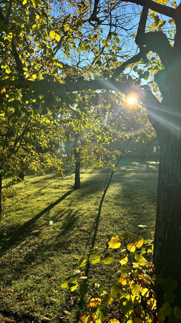 Доброго всем утра, друзья, хорошего плодотворного понедельника Доброго всем утра, друзья, хорошего плодотворного понедельника