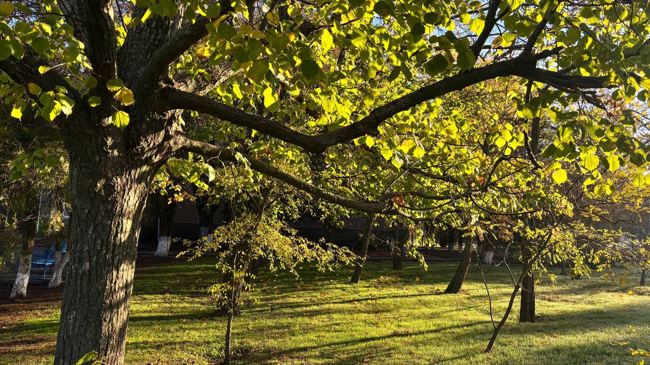 Доброго всем утра, друзья, хорошего плодотворного понедельника