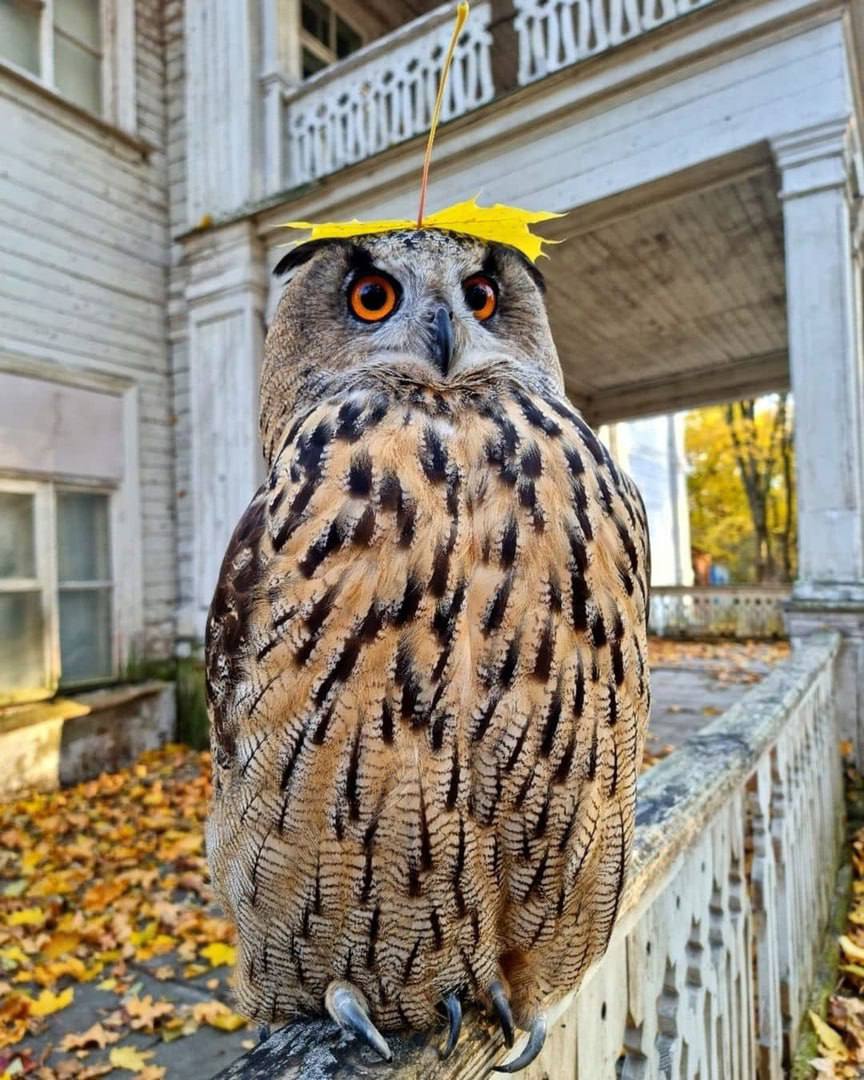 Доброе утро, Генический округ! Доброе утро, Генический округ!
