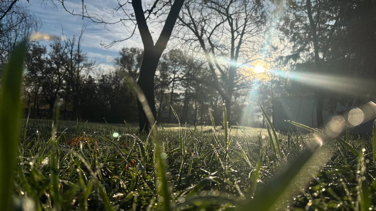 Доброго всем утра, друзья, хорошего плодотворного понедельника Доброго всем утра, друзья, хорошего плодотворного понедельника