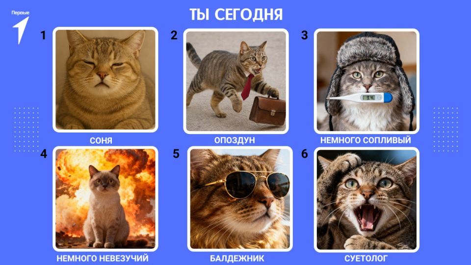 А кто вы сегодня?. Опоздали везде, где только можно, пролили на себя кофе, споткнулись, врезались в стену, паникуете по поводу завтрашней контрольной или просто получаете наслаждение от жизни? Скорее выбирайте номерок...