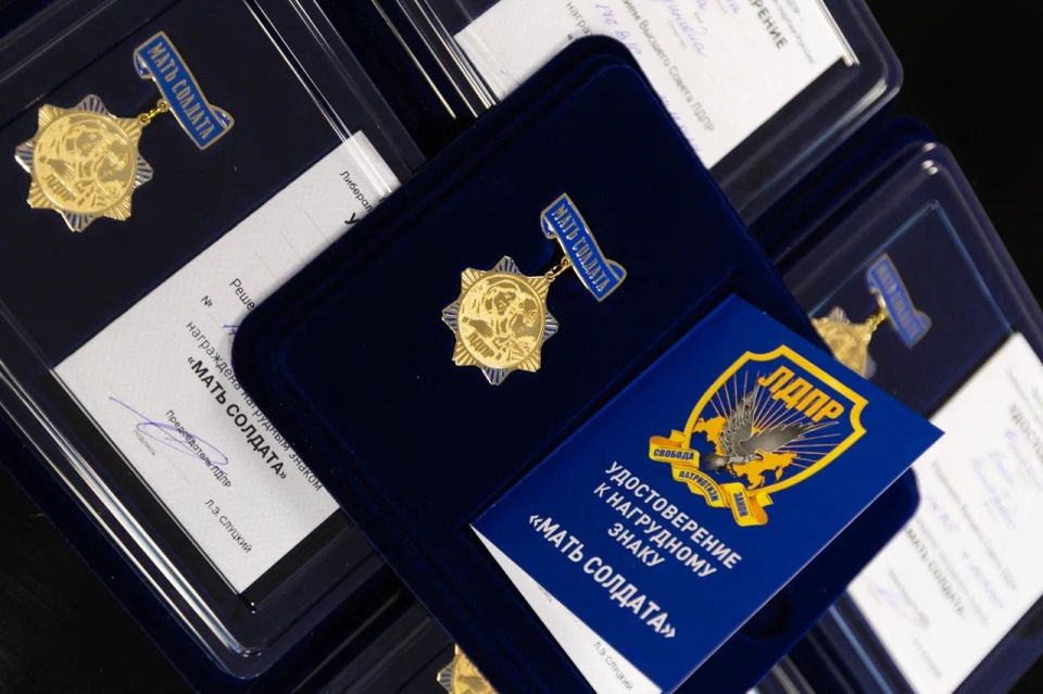 ЛДПР учредила партийную медаль «Мать солдата»