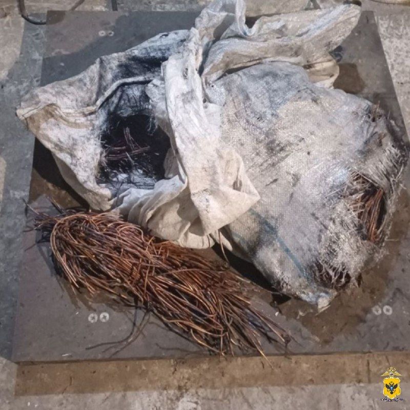 В Геническом округе оперативники задержали подозреваемых в краже электрокабеля на сумму более 100 тысяч рублей