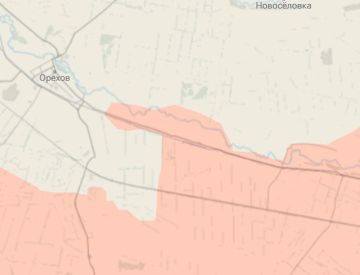 Енот из Херсона: На Запорожском направлении продолжают развиваться успехи российских вооруженных сил