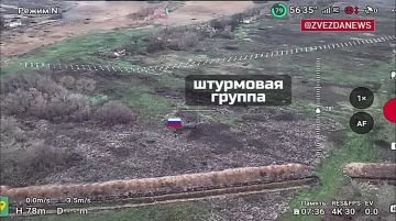 Запорожское направление. В боях за Затишье в Запорожской области наши военные уничтожили более 20 единиц техники и большое количество живой силы противника Енот из Херсона