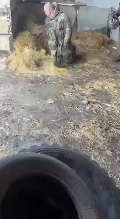 Хохлы после неудачного штурма