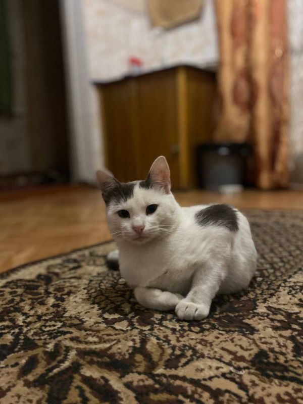 Первые и их любимцы. Продолжаем наш фотомарафон, который так полюбился всем Первые и их любимцы. Продолжаем наш фотомарафон, который так полюбился всем