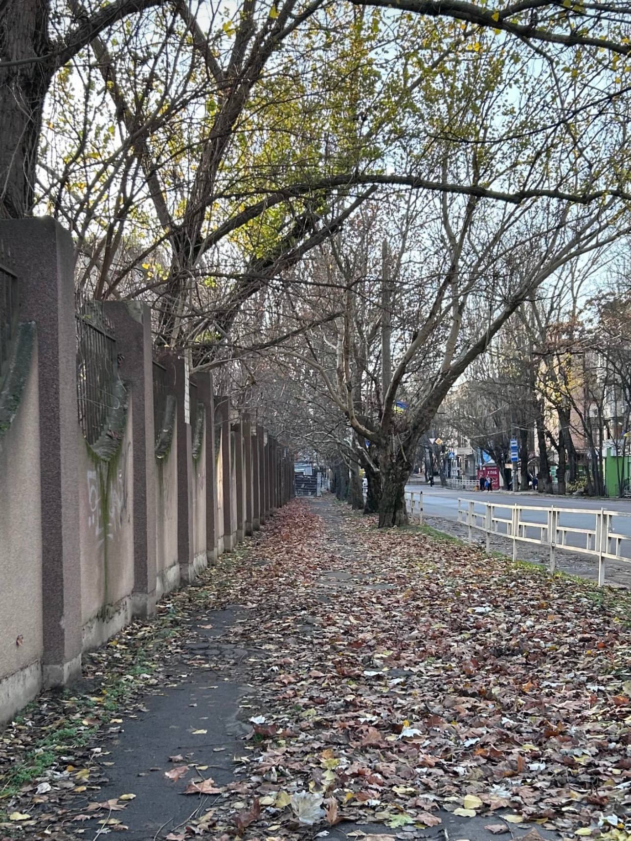 Кадры осеннего Херсона. Подпишись на Херсон.ру Кадры осеннего Херсона. Подпишись на Херсон.ру