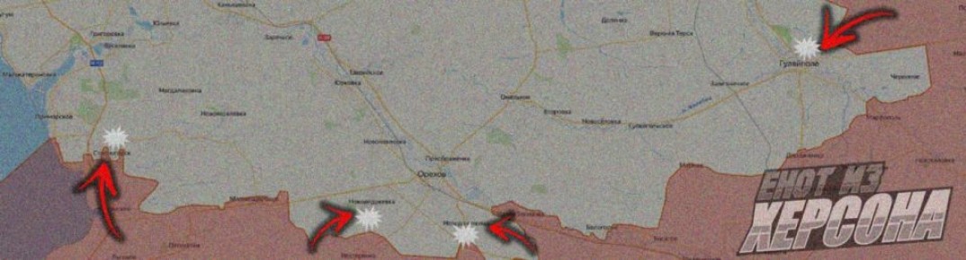 Енот из Херсона: По ситуации на Запорожском направлении