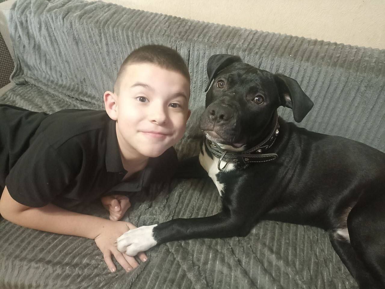 Первые и их любимцы. Активисты Движения Первых Хлебодаровской школы Чаплинского округа поздравляют всех со Всемирным днем домашних животных Первые и их любимцы. Активисты Движения Первых Хлебодаровской школы Чаплинского округа поздравляют всех со Всемирным днем домашних животных