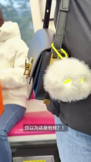 Huawei     - Hanhan,       