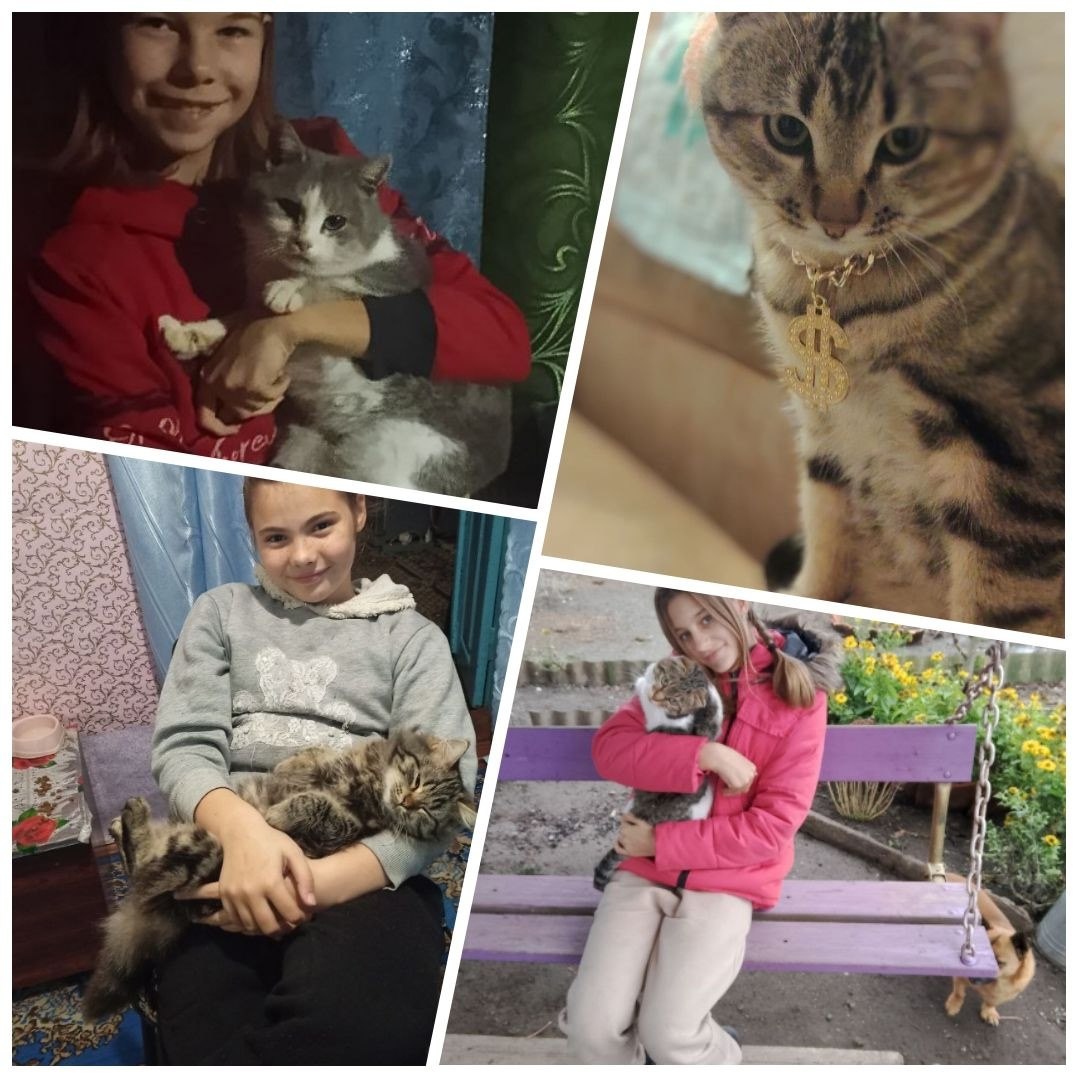 Первые и их питомцы. Друзья, праздник, которому была посвящена рубрика, уже прошел, но было столько желающих принять участие, что мы решили сделать ее постоянной! А это значит, что вы можете в любое время дня и ночи... Первые и их питомцы. Друзья, праздник, которому была посвящена рубрика, уже прошел, но было столько желающих принять участие, что мы решили сделать ее постоянной! А это значит, что вы можете в любое время дня и ночи...