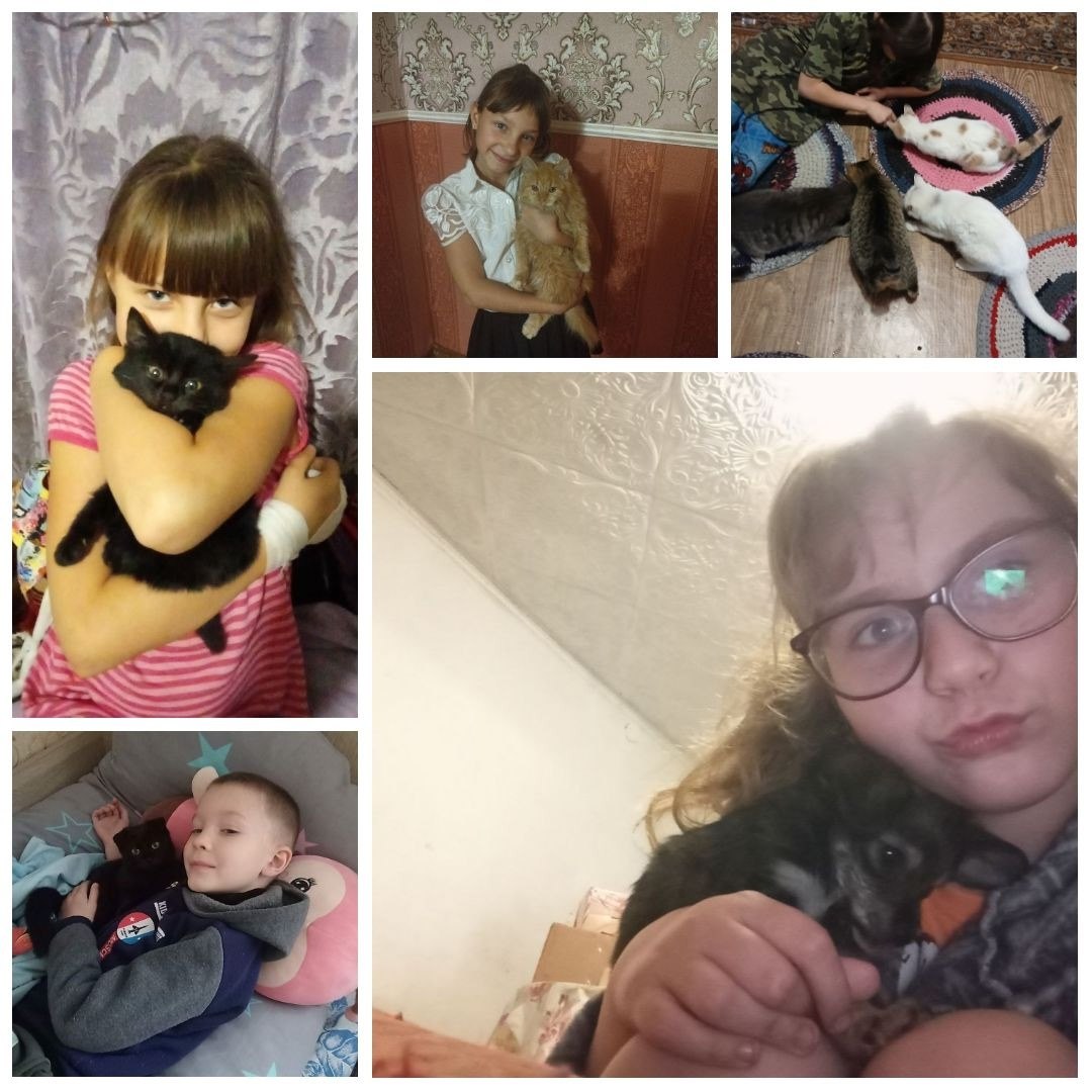 Первые и их питомцы. Друзья, праздник, которому была посвящена рубрика, уже прошел, но было столько желающих принять участие, что мы решили сделать ее постоянной! А это значит, что вы можете в любое время дня и ночи... Первые и их питомцы. Друзья, праздник, которому была посвящена рубрика, уже прошел, но было столько желающих принять участие, что мы решили сделать ее постоянной! А это значит, что вы можете в любое время дня и ночи...