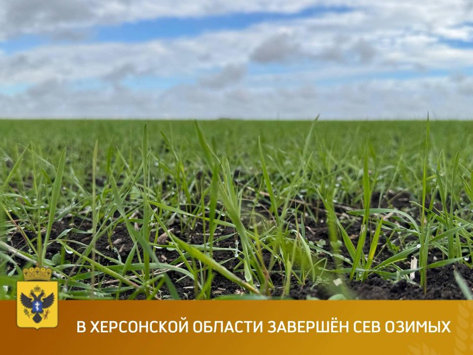 5 декабря заканчивается прием заявок на получение субсидии для проведения агротехнологических работ при производстве масличных культур 5 декабря заканчивается прием заявок на получение субсидии для проведения агротехнологических работ при производстве масличных культур