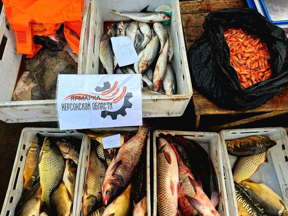 Ярмарки на Левобережье Херсонской области - 55 постоянно действующих площадок, где каждый день начинается с движения и улыбок! Ярмарки на Левобережье Херсонской области - 55 постоянно действующих площадок, где каждый день начинается с движения и улыбок!