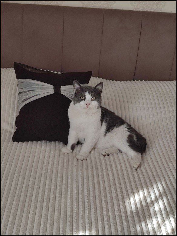 ������ � �� �������. �� ��� �������, ���