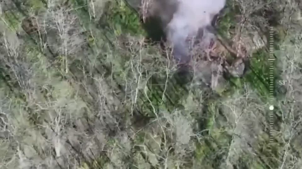 ������ �����: ������ ������� ���� ����� ����������� ������ ��������� ��� ��� �� ������ ������ ������ � ���������� �������