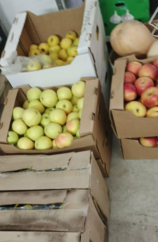 � 26 ������ �� 8 ������� �������� ������������� ����� ������� �������