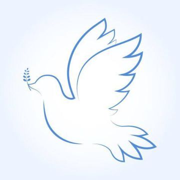 Мы запускаем акцию поздравлений участников СВО — «Zа вами страна» ко Дню Героя Отечества