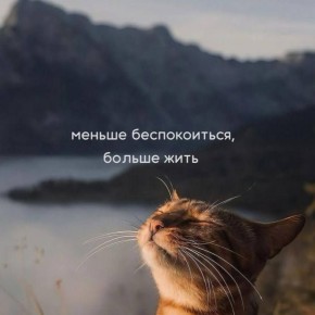 Давай замедлимся и понастоящему отдохнём от информационного шума?