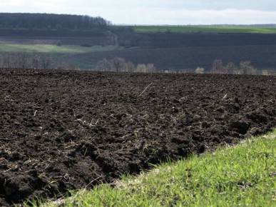 5 декабря — День почвы. Земля Херсонской области — главный продовольственный ресурс региона