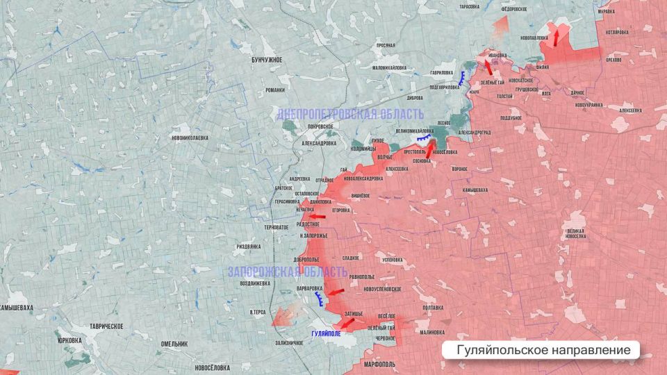 ���� ����: ��������� ������ 5 �������