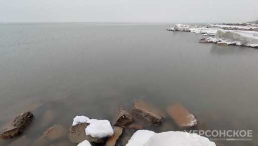 Сальдо: В Херсонской области планируют запустить морские порты