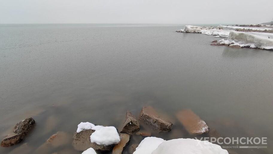 Сальдо: В Херсонской области планируют запустить морские порты